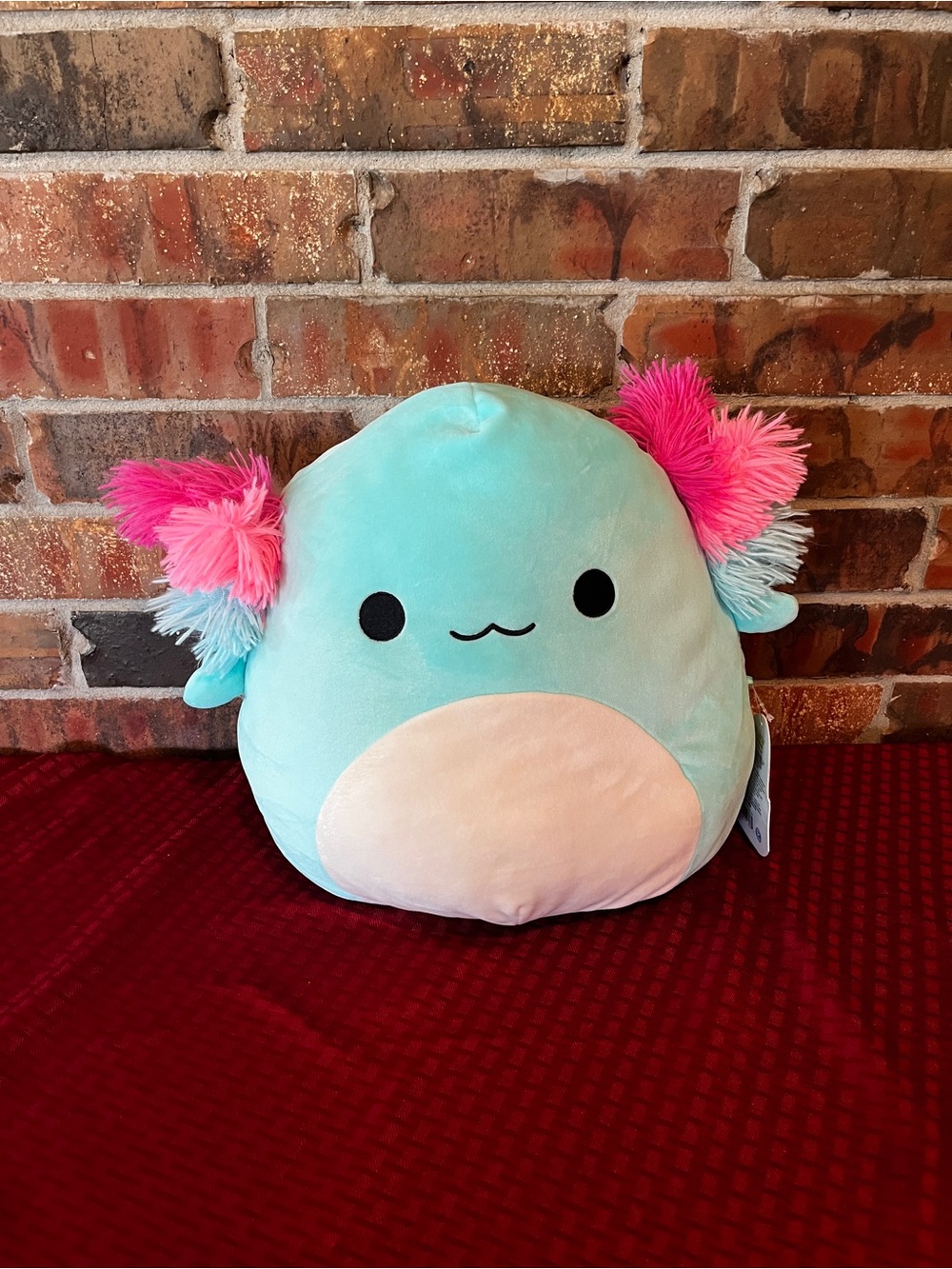 Squishmallows Plush Anastasia Fuzzy Axolotl Squishdoo Squishmallow NWT